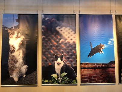 ����Ҥ�ͤ����