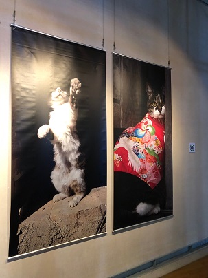 ����Ҥ�ͤ����