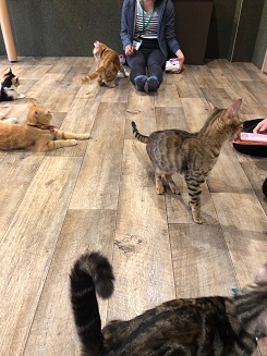 ����Ҥ�ͤ����