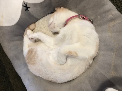 ����Ҥ�ͤ����