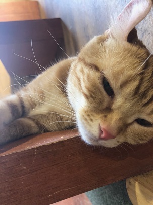 ����Ҥ�ͤ����