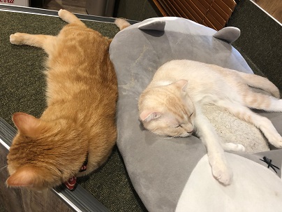 ����Ҥ�ͤ����