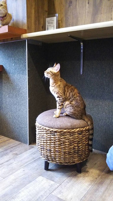 ����Ҥ�ͤ����