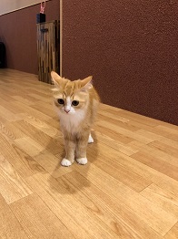 ����Ҥ�ͤ����