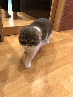 ����Ҥ�ͤ����