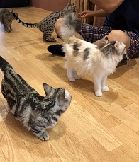 ����Ҥ�ͤ����