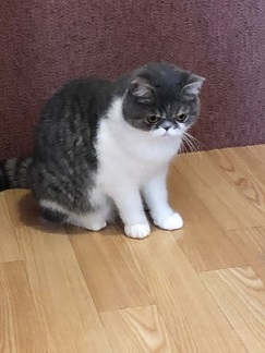 ����Ҥ�ͤ����